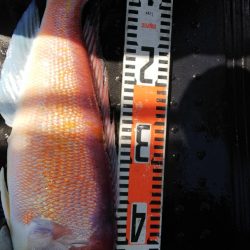 第二龍勢丸 釣果