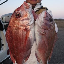 第三共栄丸 釣果