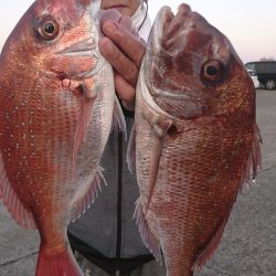 第三共栄丸 釣果