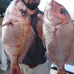 第三共栄丸 釣果