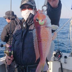 ARCADIAⅡ (アルカディアⅡ) 釣果