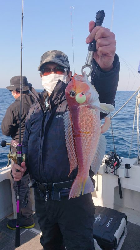 ARCADIAⅡ (アルカディアⅡ) 釣果