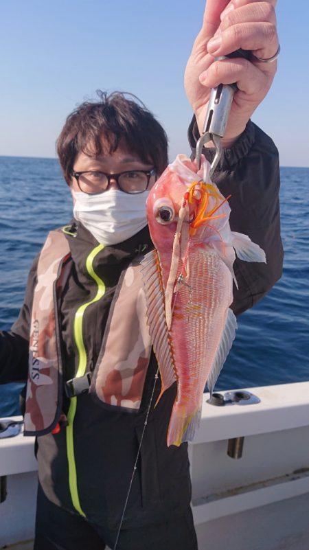 ARCADIAⅡ (アルカディアⅡ) 釣果