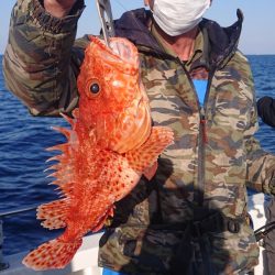 ARCADIAⅡ (アルカディアⅡ) 釣果