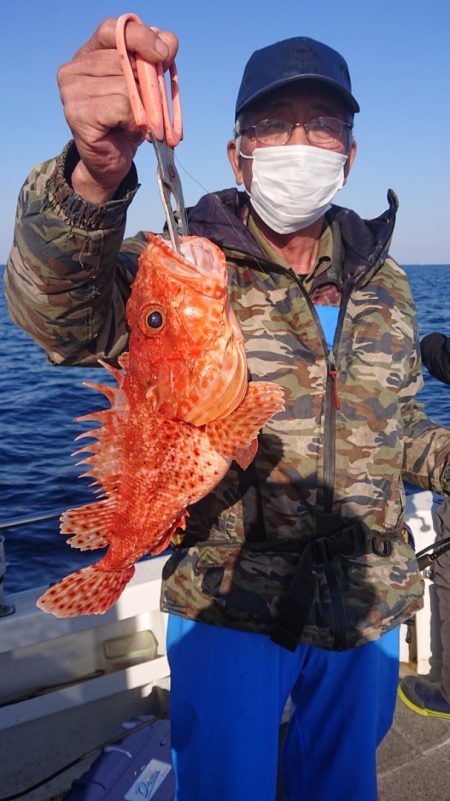 ARCADIAⅡ (アルカディアⅡ) 釣果