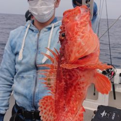 ARCADIAⅡ (アルカディアⅡ) 釣果