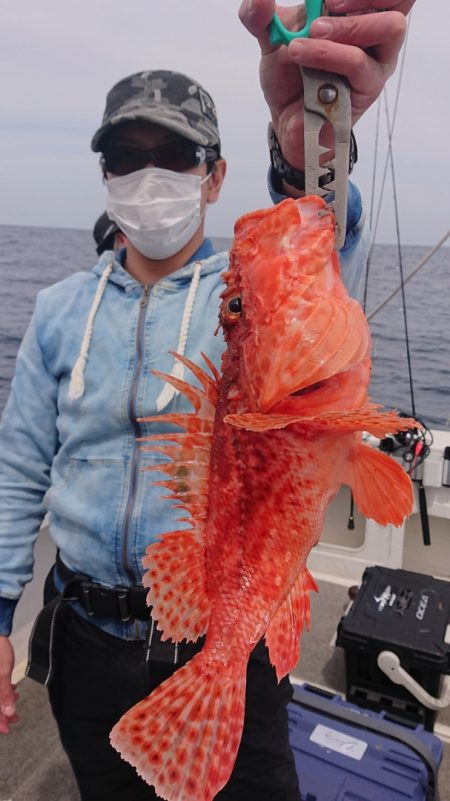 ARCADIAⅡ (アルカディアⅡ) 釣果