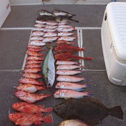 ARCADIAⅡ (アルカディアⅡ) 釣果