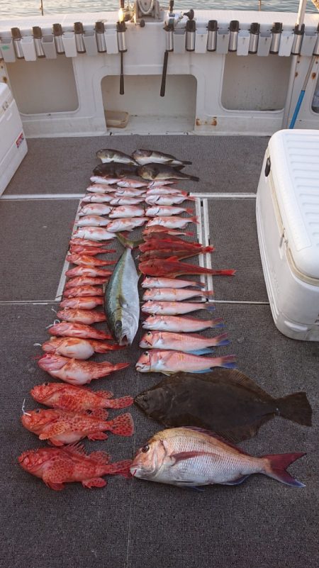 ARCADIAⅡ (アルカディアⅡ) 釣果