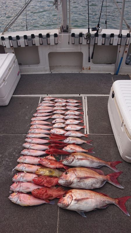 ARCADIAⅡ （アルカディアⅡ） 釣果…