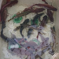 シースナイパー海龍 釣果