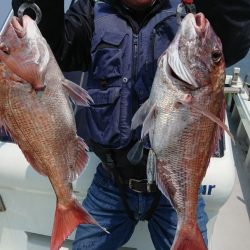 第二ゆず丸 釣果