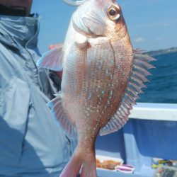 新幸丸 釣果