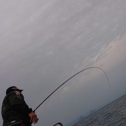 シースナイパー海龍 釣果