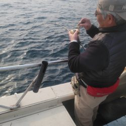 秀漁丸 釣果