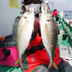 金沢八景鴨下丸 釣果