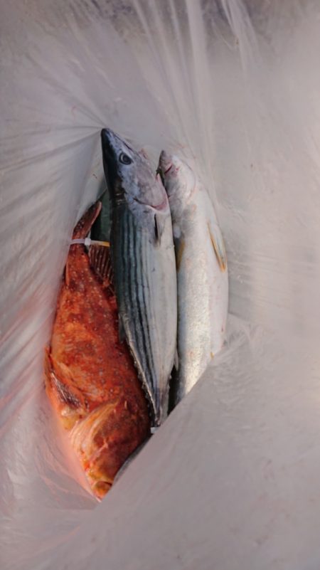 海皇丸 釣果