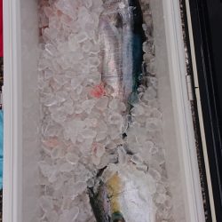 海皇丸 釣果