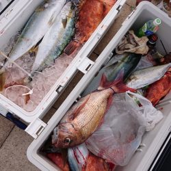 海皇丸 釣果