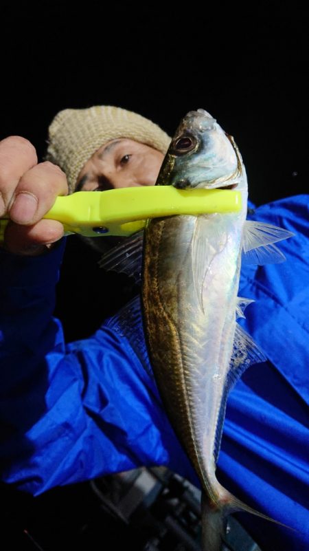 シースナイパー海龍 釣果