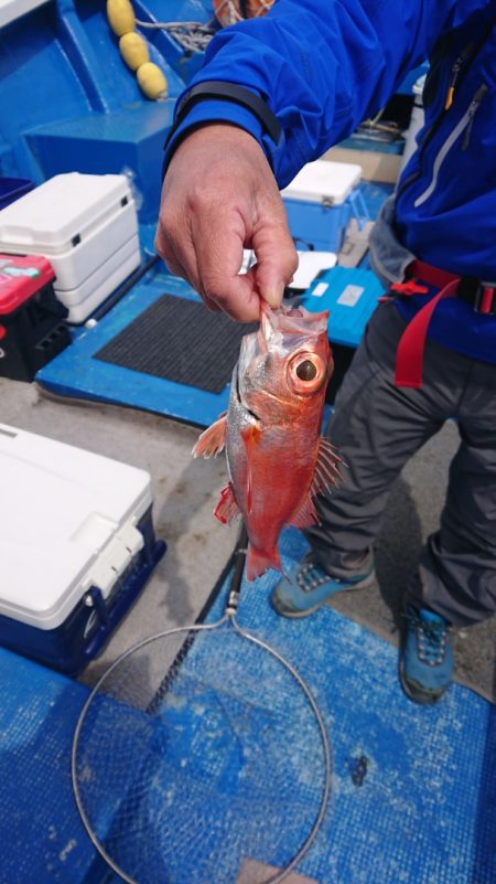 清和丸 釣果