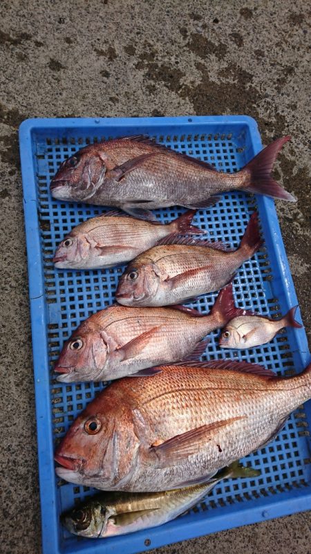 第三共栄丸 釣果