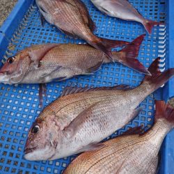 第三共栄丸 釣果