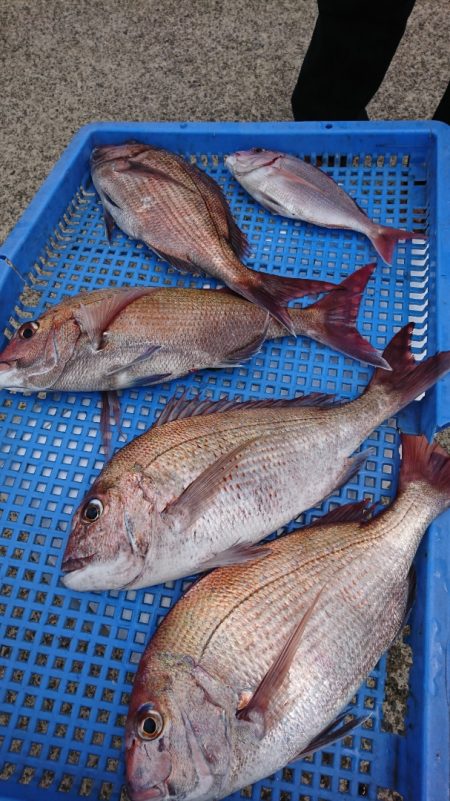 第三共栄丸 釣果