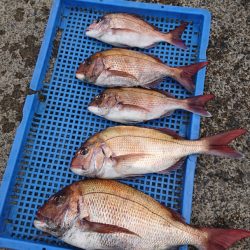 第三共栄丸 釣果