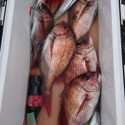 第三共栄丸 釣果