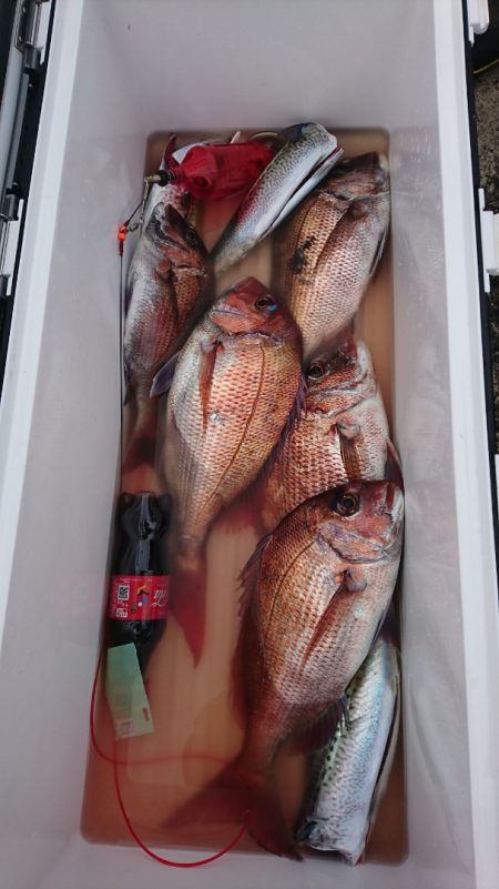 第三共栄丸 釣果