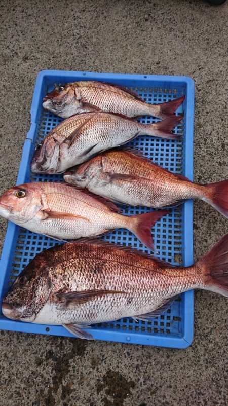 第三共栄丸 釣果