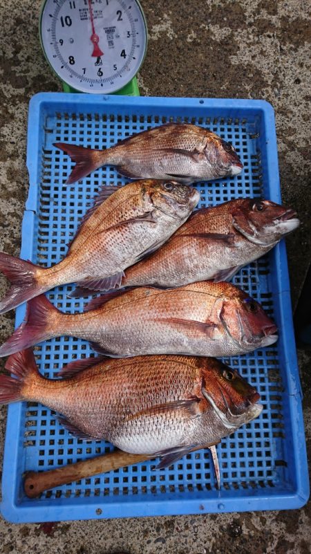 第三共栄丸 釣果