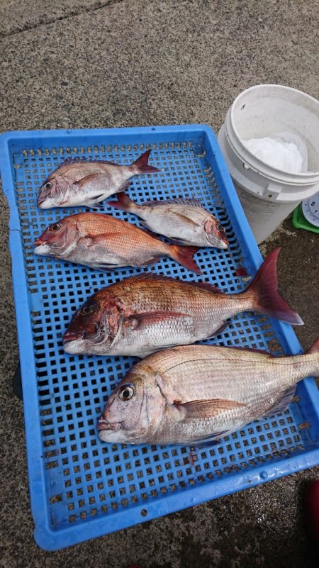 第三共栄丸 釣果