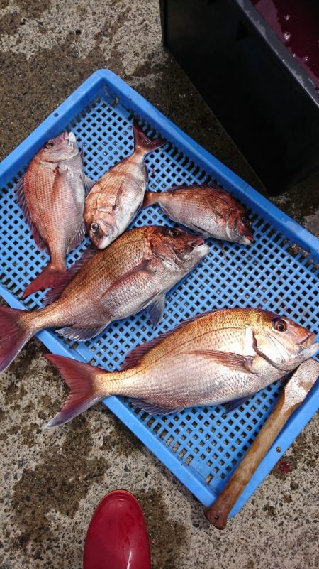 第三共栄丸 釣果