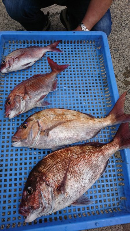 第三共栄丸 釣果