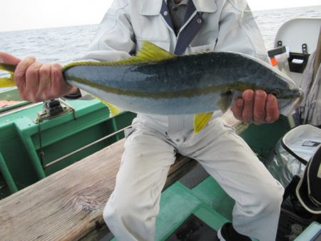 真祐丸 (しんゆうまる) 釣果