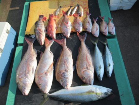 真祐丸 (しんゆうまる) 釣果