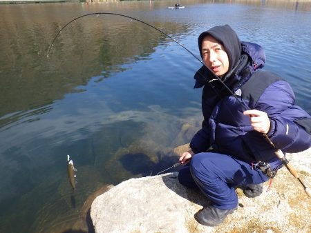 平谷湖フィッシングスポット 釣果