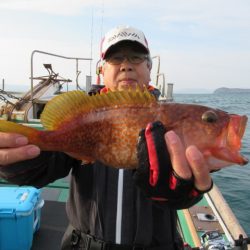 真祐丸 (しんゆうまる) 釣果