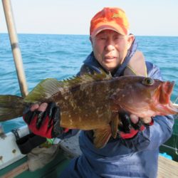 真祐丸 (しんゆうまる) 釣果