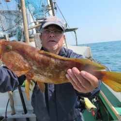 真祐丸 (しんゆうまる) 釣果