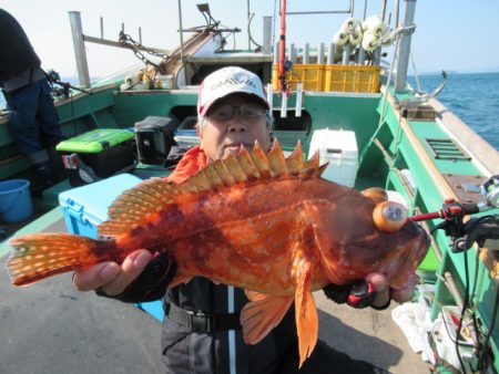真祐丸 (しんゆうまる) 釣果