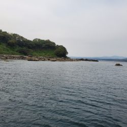 海晴丸 釣果