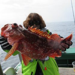 真祐丸 (しんゆうまる) 釣果