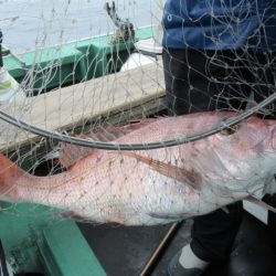 真祐丸 (しんゆうまる) 釣果