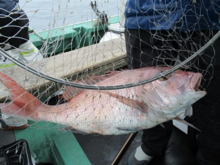 真祐丸 (しんゆうまる) 釣果