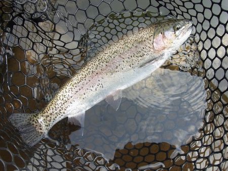 平谷湖フィッシングスポット 釣果