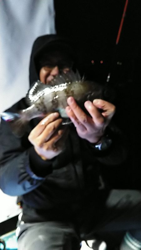 フィッシングガイド りょう 釣果