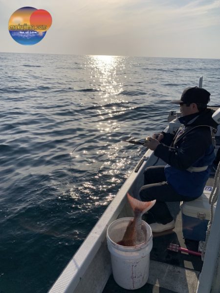 幕島丸 釣果